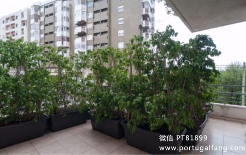 葡萄牙投资移民 葡萄牙房产 葡萄牙移民房产 移民房产 葡萄牙留学 里斯本Campolide精装公寓T2室带大露台48万€