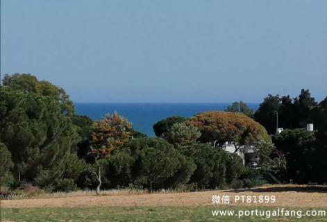 葡萄牙投资移民 葡萄牙房产 葡萄牙移民房产 移民房产 葡萄牙留学 Albufeira市土地出售80万欧