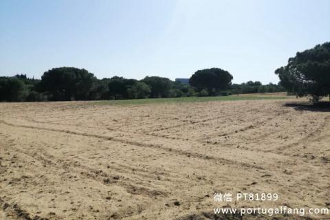 葡萄牙投资移民 葡萄牙房产 葡萄牙移民房产 移民房产 葡萄牙留学 Albufeira市土地出售80万欧